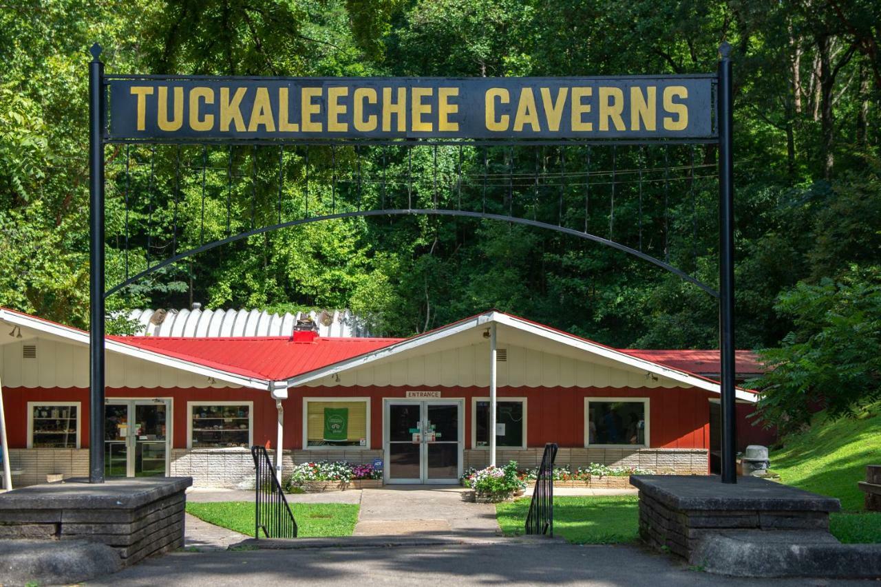 Twin Cub Lodge Tuckaleechee Ngoại thất bức ảnh